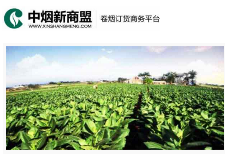 中烟新商盟卷烟订货商务平台-Ebpay